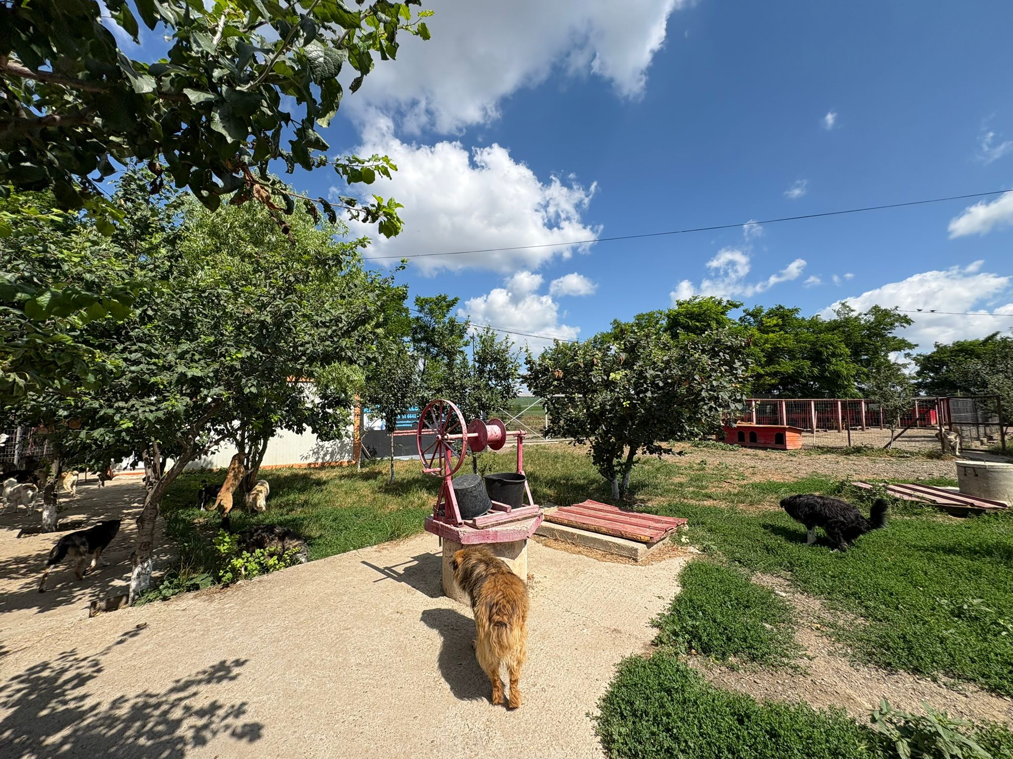 Grande place du refuge