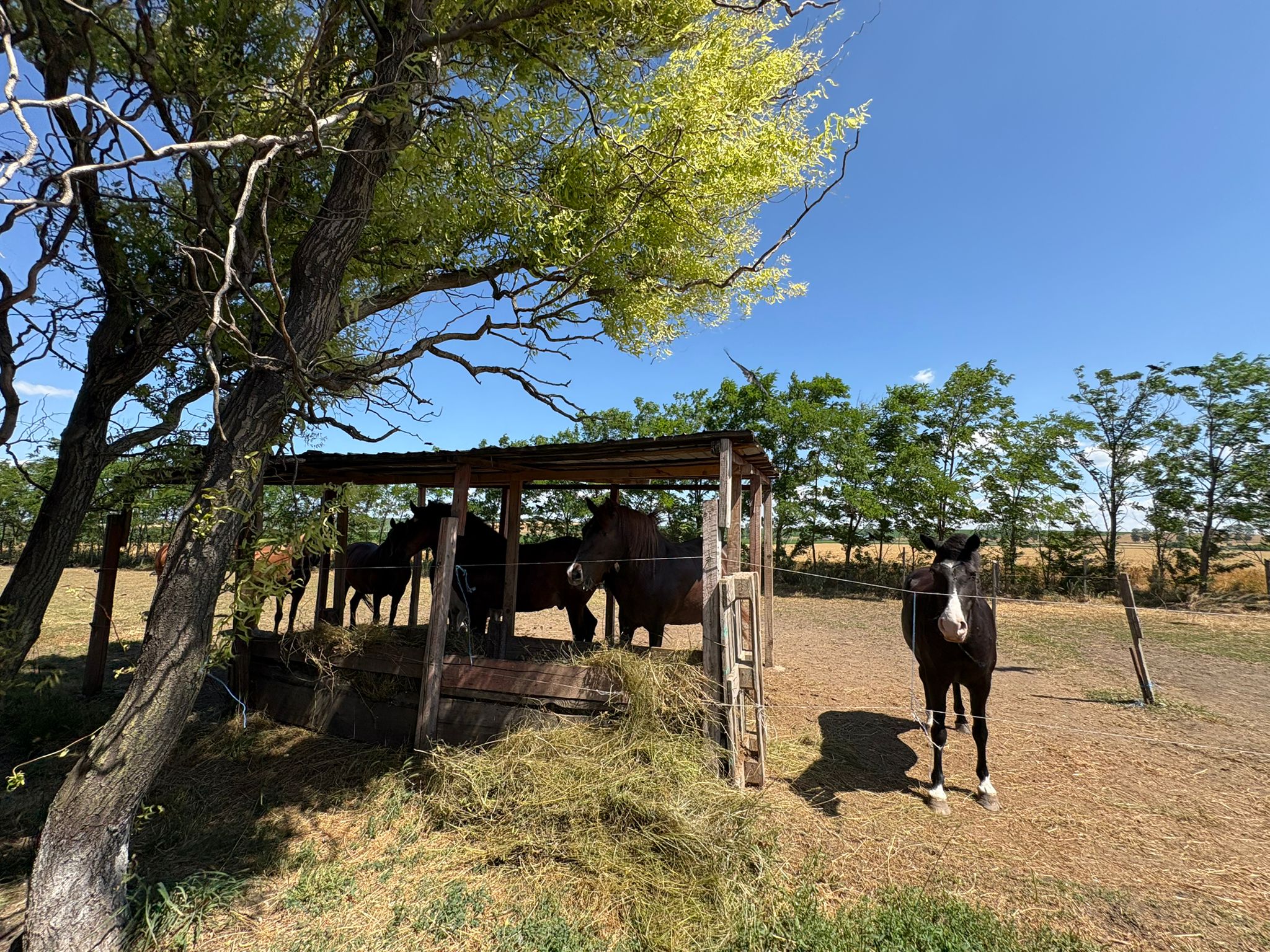 Sanctuaire Fondation Sky