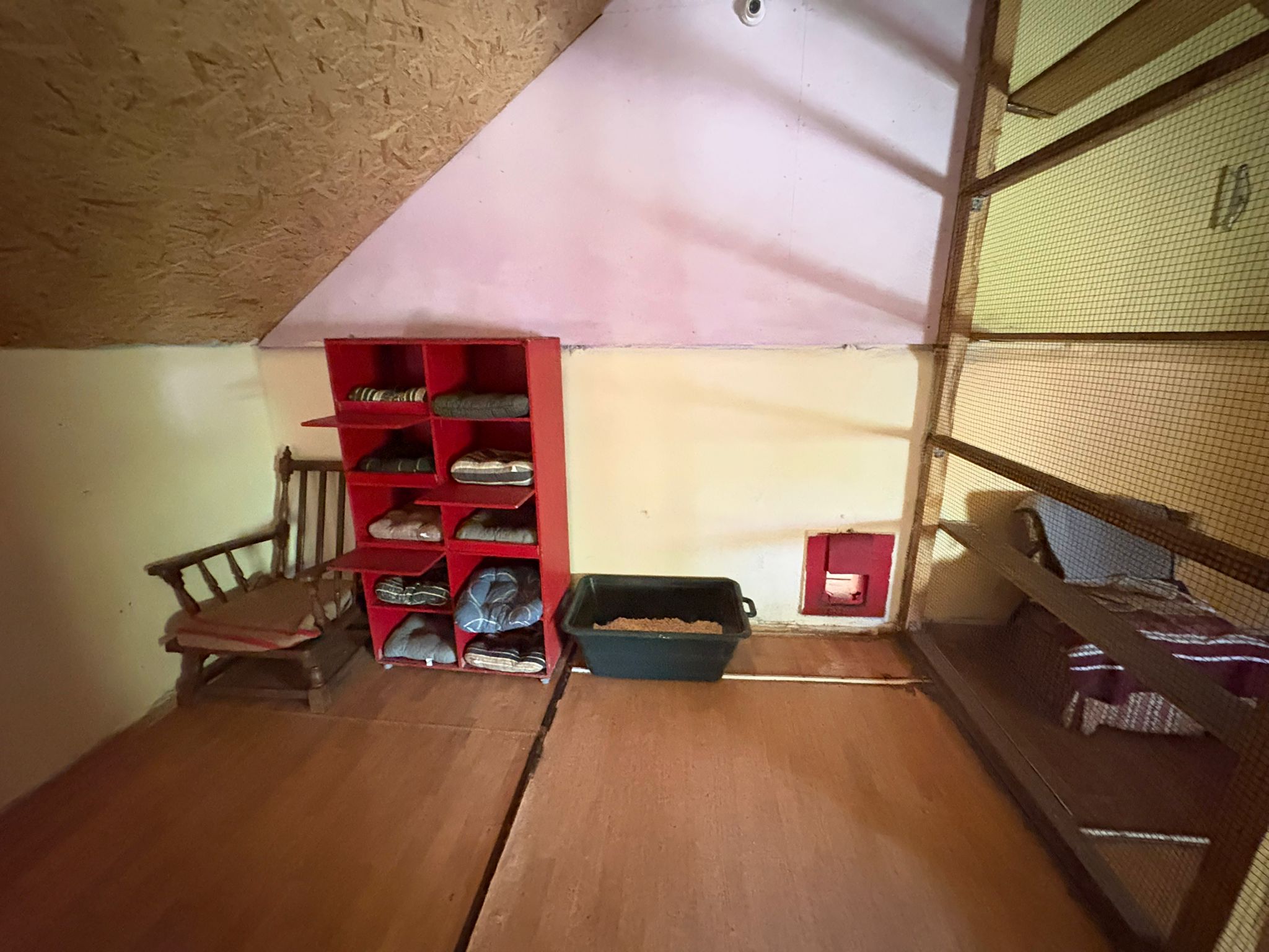 Espace jeux chatterie