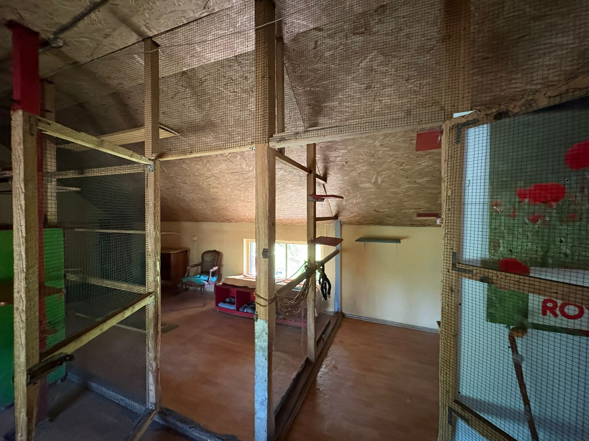 Espace repos chatterie