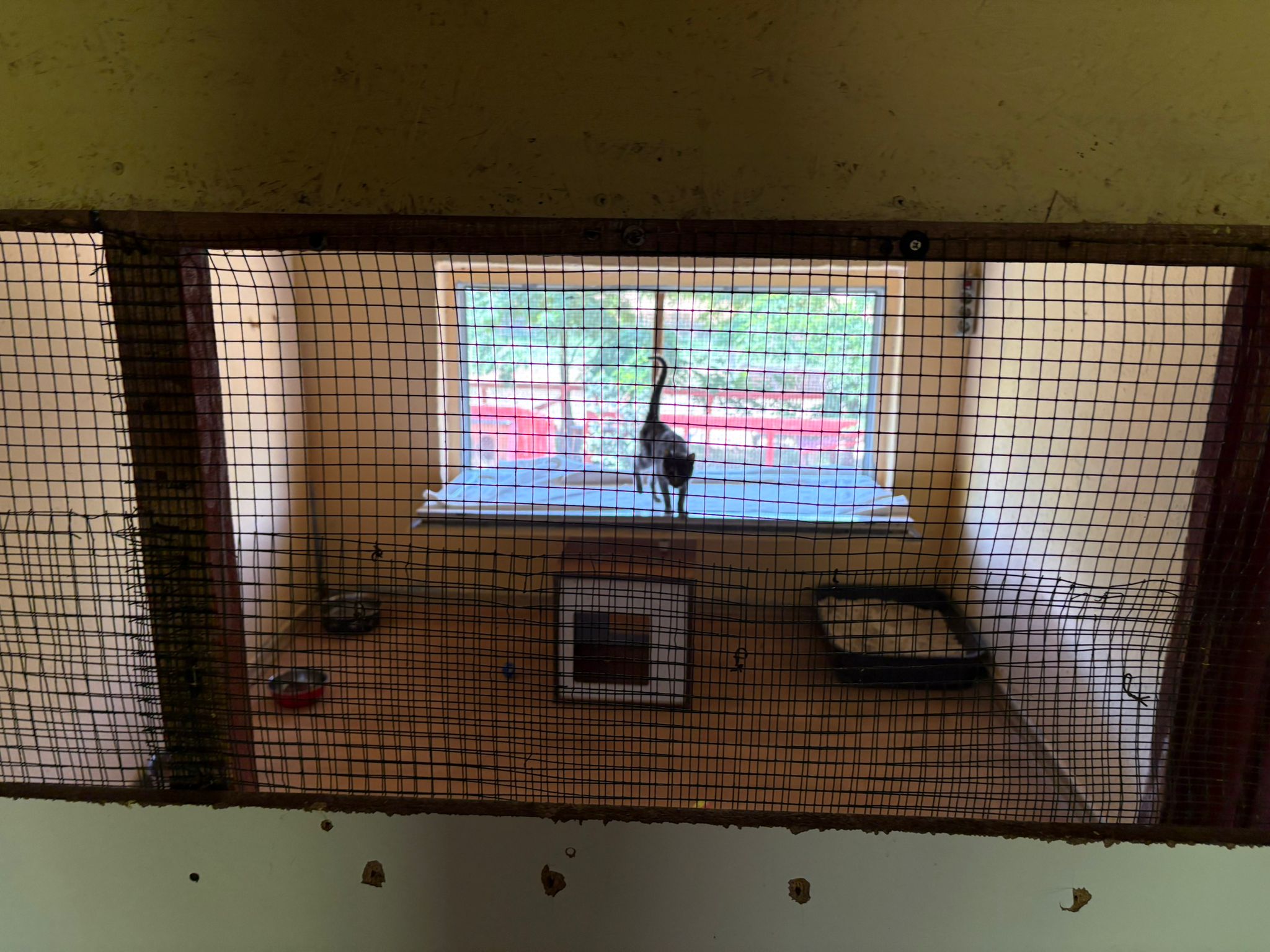 Espace quarantaine du refuge