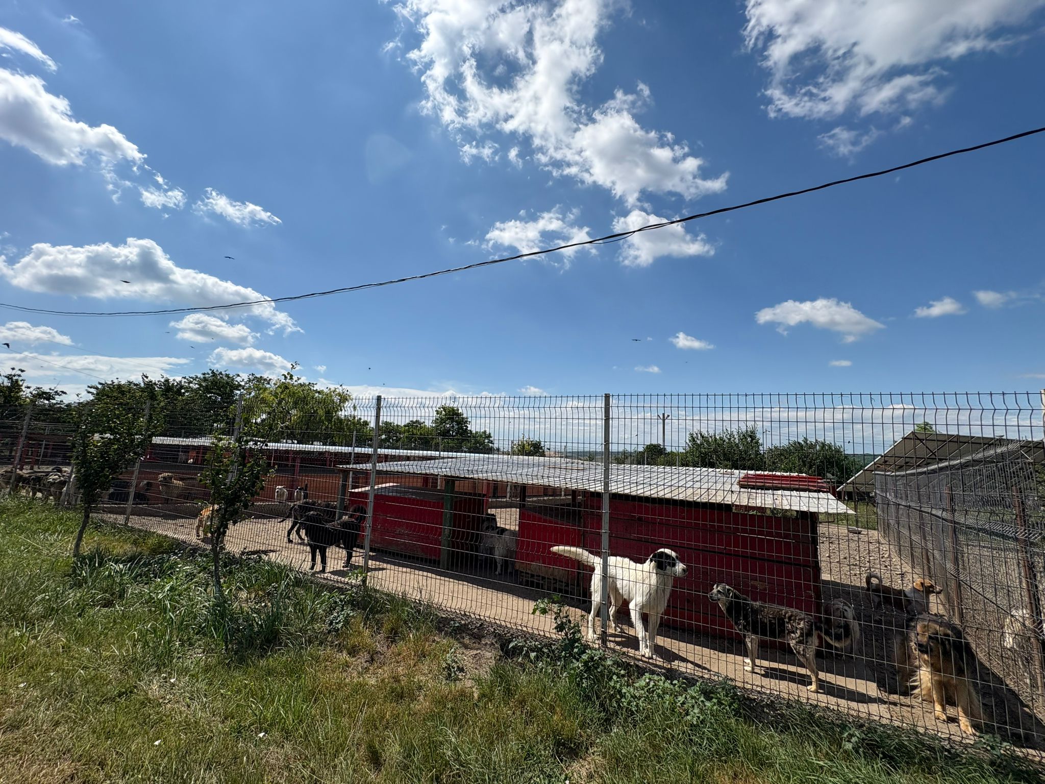 Refuge Fondation Sky