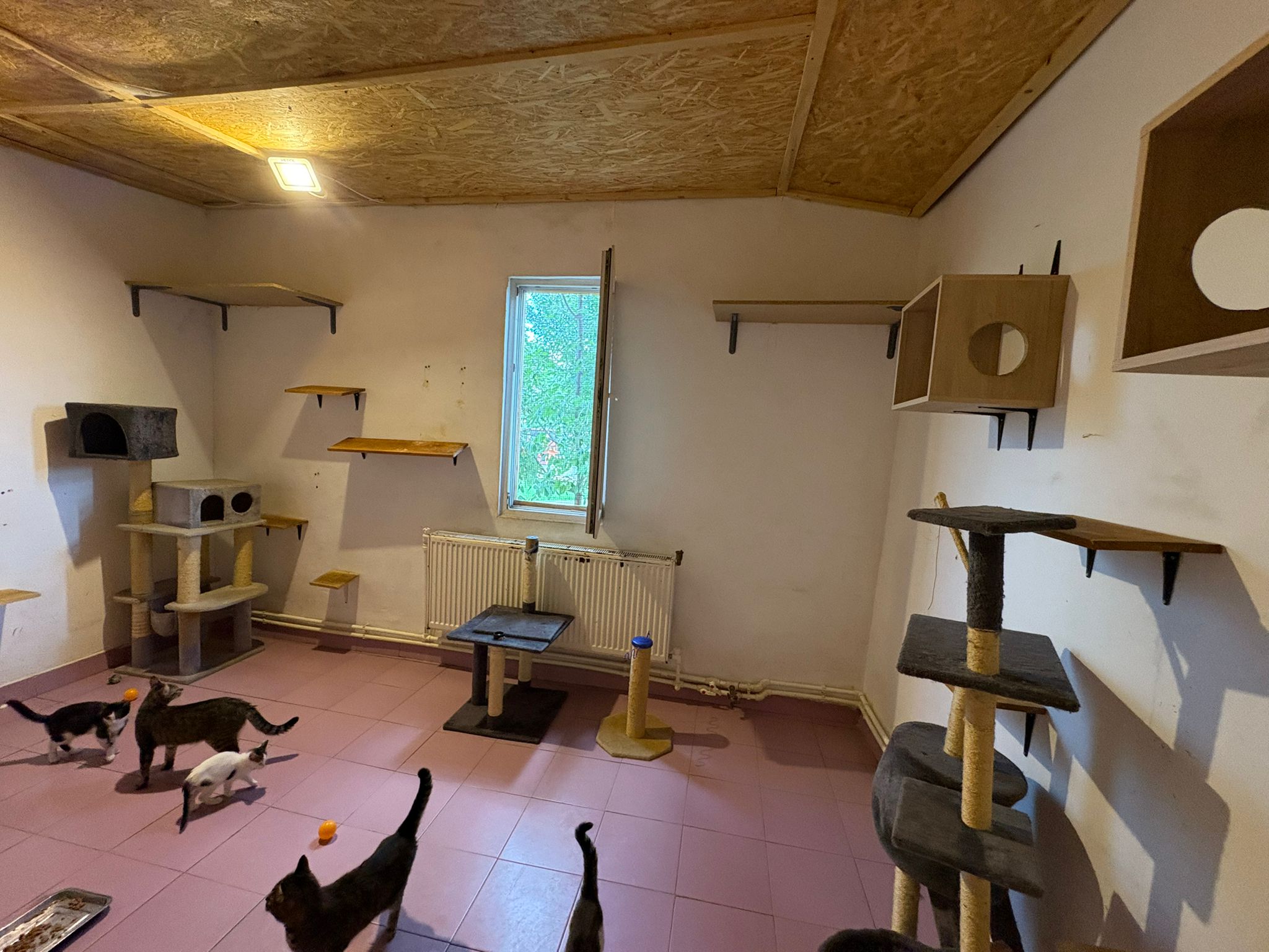 Espace de jeux sas sain