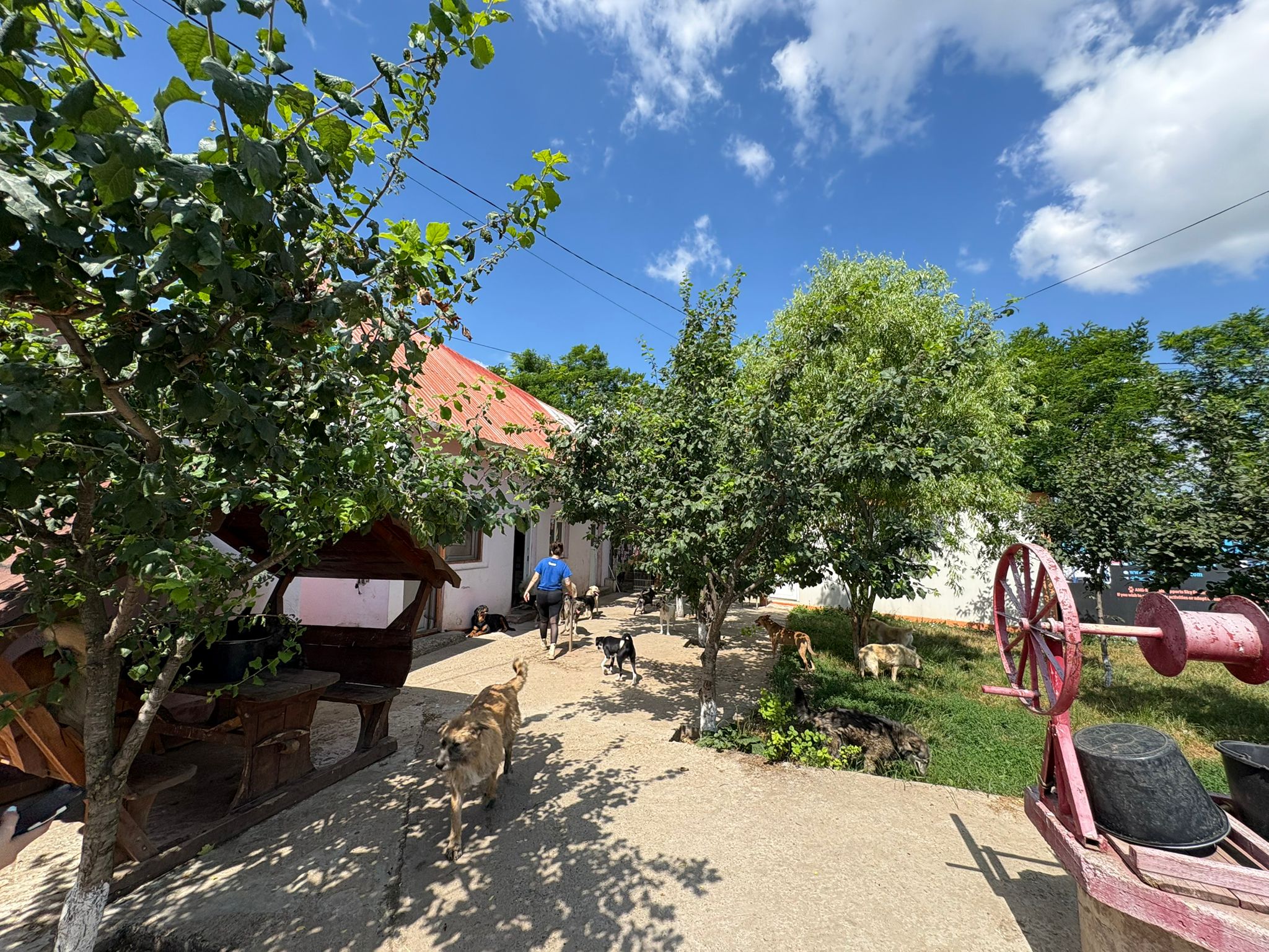 Espace socialisation