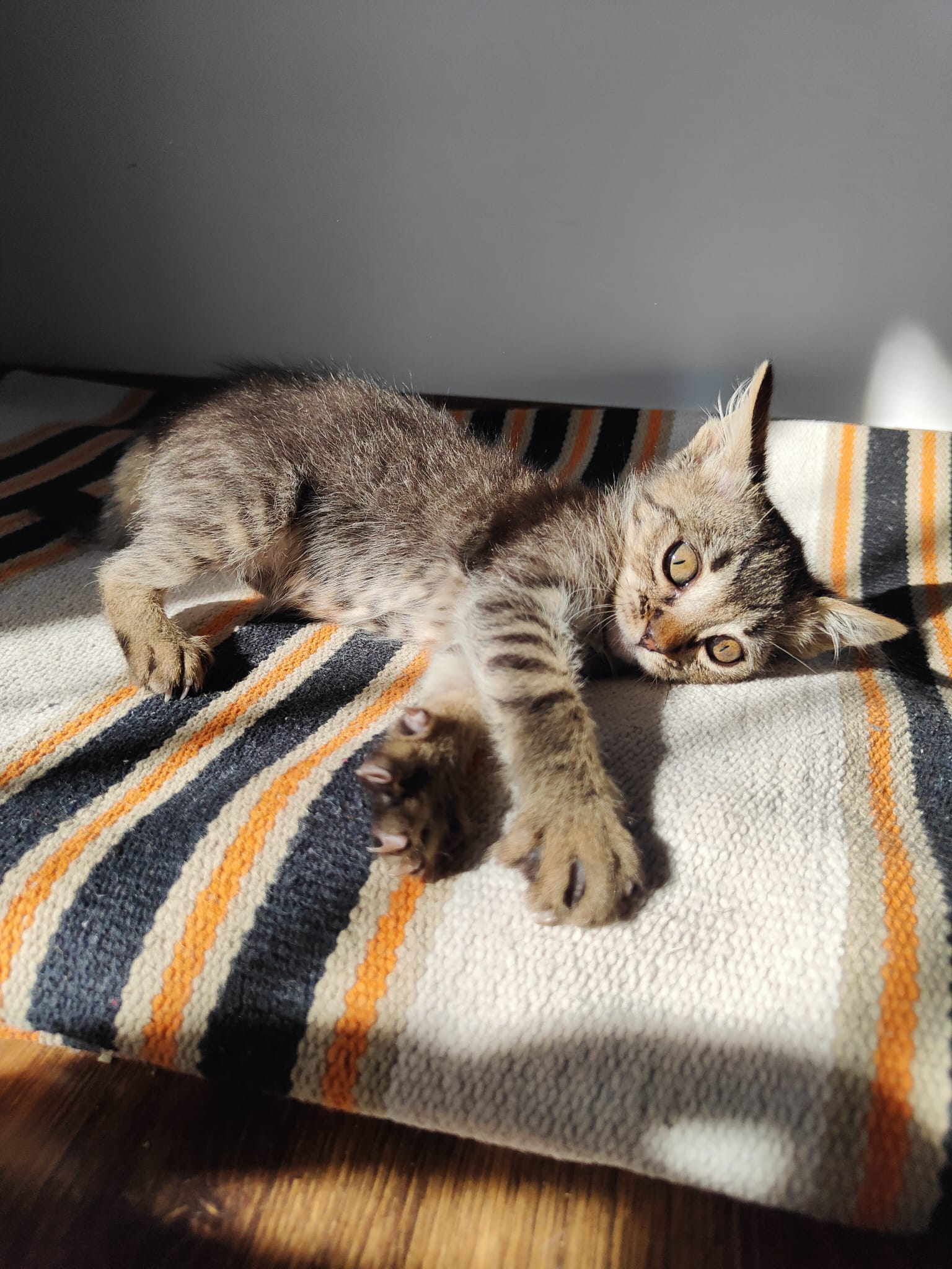 Famille d’accueil de la Fondation Sky