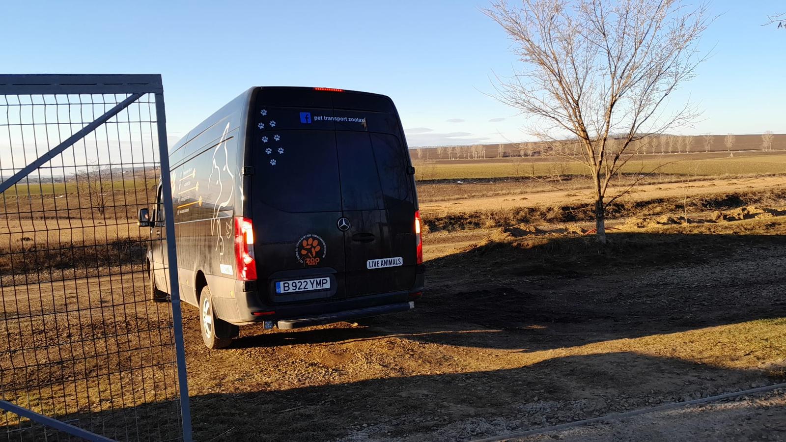 Sécurité et bien-être animal