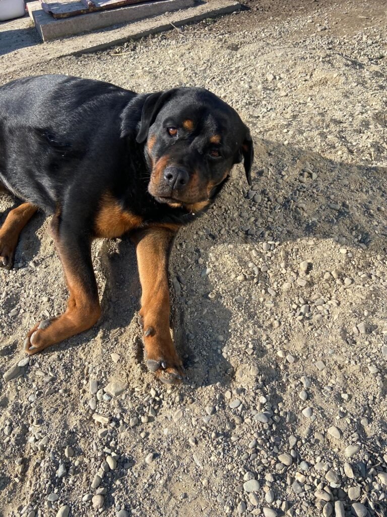 Photo de Kira
