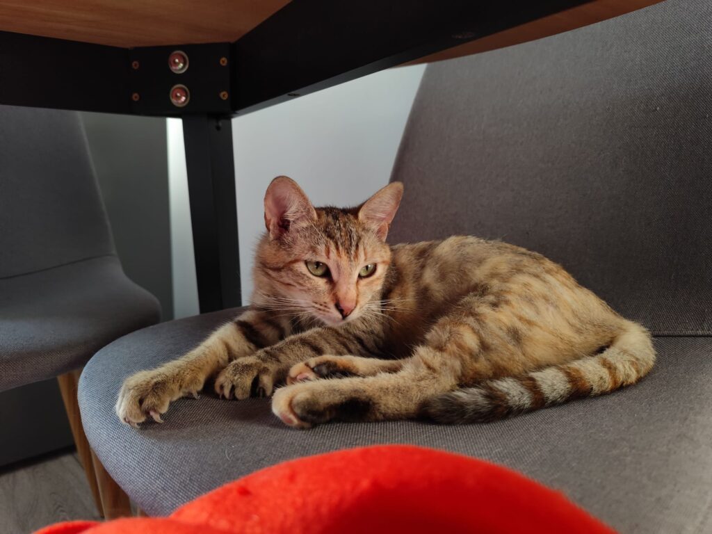 Luna