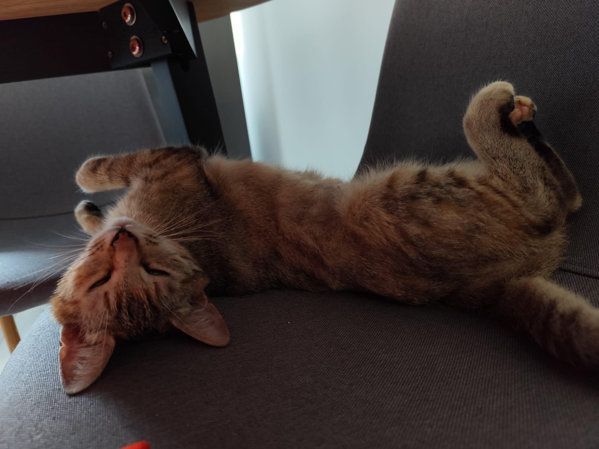 Luna