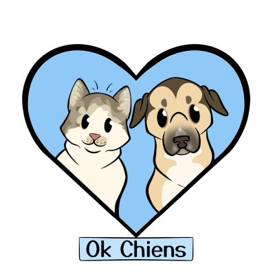 chat ok chiens